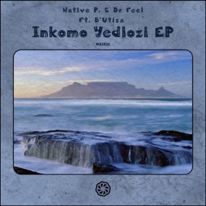 Inkomo Yedlozi (feat. B'Utiza) - Single