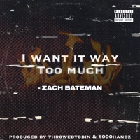 I Want It Way Too Much - Single - Zach Bateman
