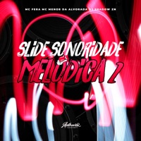 Slide Sonoridade Melódica 2 (feat. MC Menor da Alvorada & Mc Fera) - Single - DJ SHADOW ZN