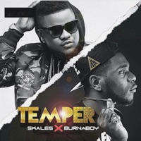 Album cover for Temper (feat. Burna Boy) [Remix] by Skales