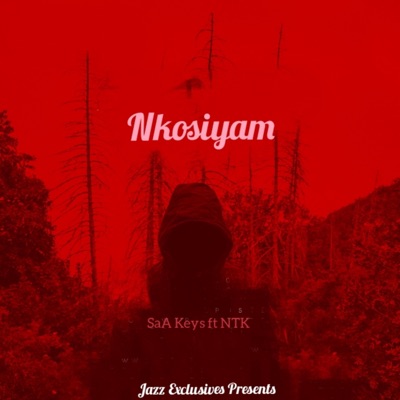 Nkosiyam (feat. NTK) - Single