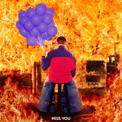 Miss You (Showtek Remix) - Single