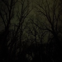 Attitude - Single - Little Limbo