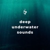 Deep Underwater Sounds for Sleep, Relax, Study