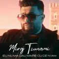 Eu nu ma dau mare cu ce n