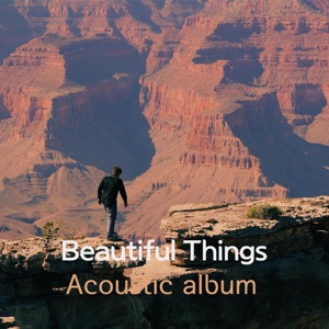 Beautiful Things (Acoustic) - Single