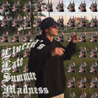 LLucid's late Summer Madness - Single