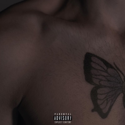 Pelle d'oca - Single