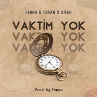 Vaktim Yok (feat. Avro.412 & Tegan) - Single - Pengu