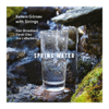 Spring Water (feat. Alan Broadbent, Darek Oles & Joe LaBarbera) [Kerem Görsev with Strings] - Kerem Görsev