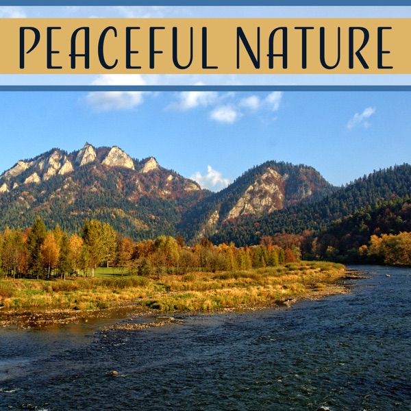 Peaceful Nature – Relaxing Sounds of Nature, Sounds of Rain, Sounds of Forest, Ambient Music, Zen Meditation, Yoga Relaxation