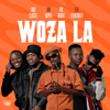 Woza La (feat. Leemckrazy) - Amu Classic, Kappie & TNK MusiQ