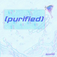 purified - Single - ecco 64, Davada & Wwave