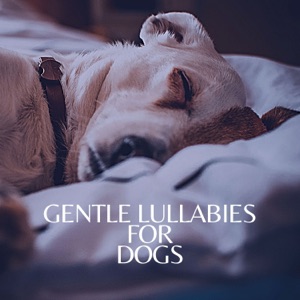 Gentle Lullabies for Dogs