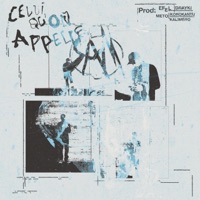 CELUI QU'ON APPELLE SAM - Single - Gemen