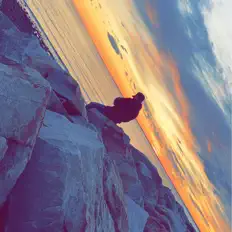 Mace Mを聴いたり、ミュージックビデオを鑑賞したり、経歴やツアー日程などを確認したりしましょう！