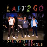 Last 2 Go (feat. AuraGold) - Single - SteezyMerk