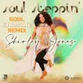 Soul Steppin (Soul Syndicate Remix)