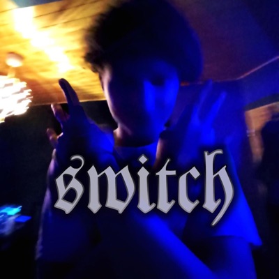 Switch - Single
