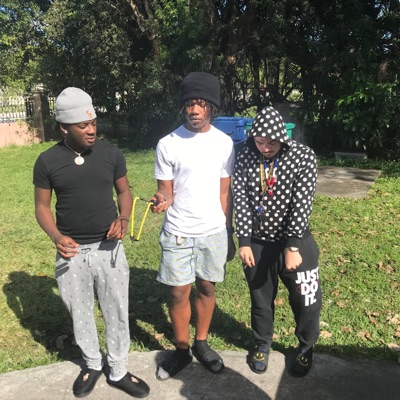 Livin' the dream (feat. Omgmillyy, Iluvbani, Mr.stizz & Freebandsjojo) - Single