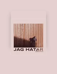 Ludvig Fritz: песни, клипы, биография, даты выступлений и многое другое.