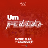 Um Pedido (Entre Elas no Cacique 2) [Ao Vivo] - Single - Grupo Entre Elas