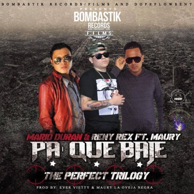Pa Que Bajé (feat. Maurylaovejanegra & DURAN OFFICIAL EL DE LA D) - Single