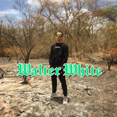 Walter White - Single