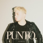 Punto artwork