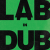 L.A.B In Dub - L.A.B & Paolo Baldini DubFiles