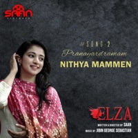 Pranayardramam (feat. Nithya Mammen) - Single - Jibin George Sebastian
