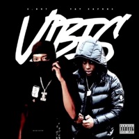 Vibes (feat. Tay Capone) - Single - S-Dot