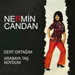 Nermin Candan - Arabaya Taş Koydum