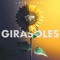 Girasoles - Luis Fonsi lyrics