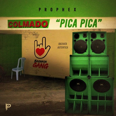 Pica Pica - Single