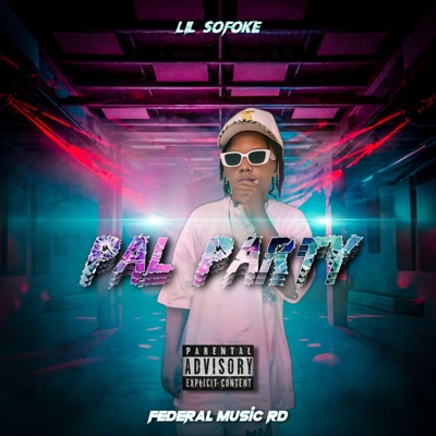 pal party (feat. lilsofoke) - Single