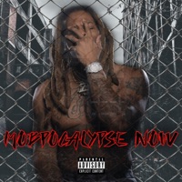 Mobpocalypse Now - Young E Class
