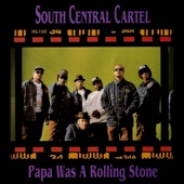 Papa Was a Rolling Stone (Extended Mix) artwork