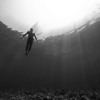 Ledger - Single - Scary David & Okazaki