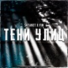 Тени улиц (feat. Fin) - Single