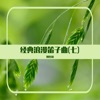 西海情歌 (笛子曲) cover art