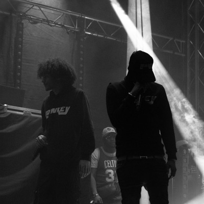 Freeze Lofi - Hillary CLINTON