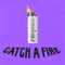 Catch a Fire (feat. Lei Di Dai) [Wildkatz Remix] - D-DOTs lyrics