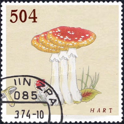 504 - Single