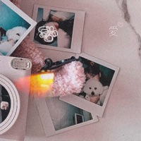 lovesick (feat. Akkiro & coldluma) - Single - natee