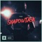 Shadowtask - Pylot lyrics