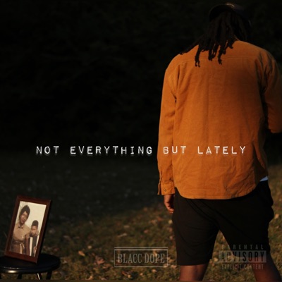 Not Everything But Lately - Single