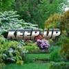 Keep Up - Single