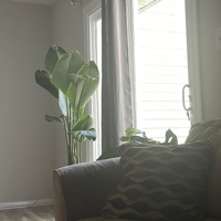 Idrc - Single - Accounted For