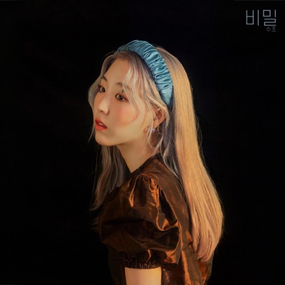 Secret - Single